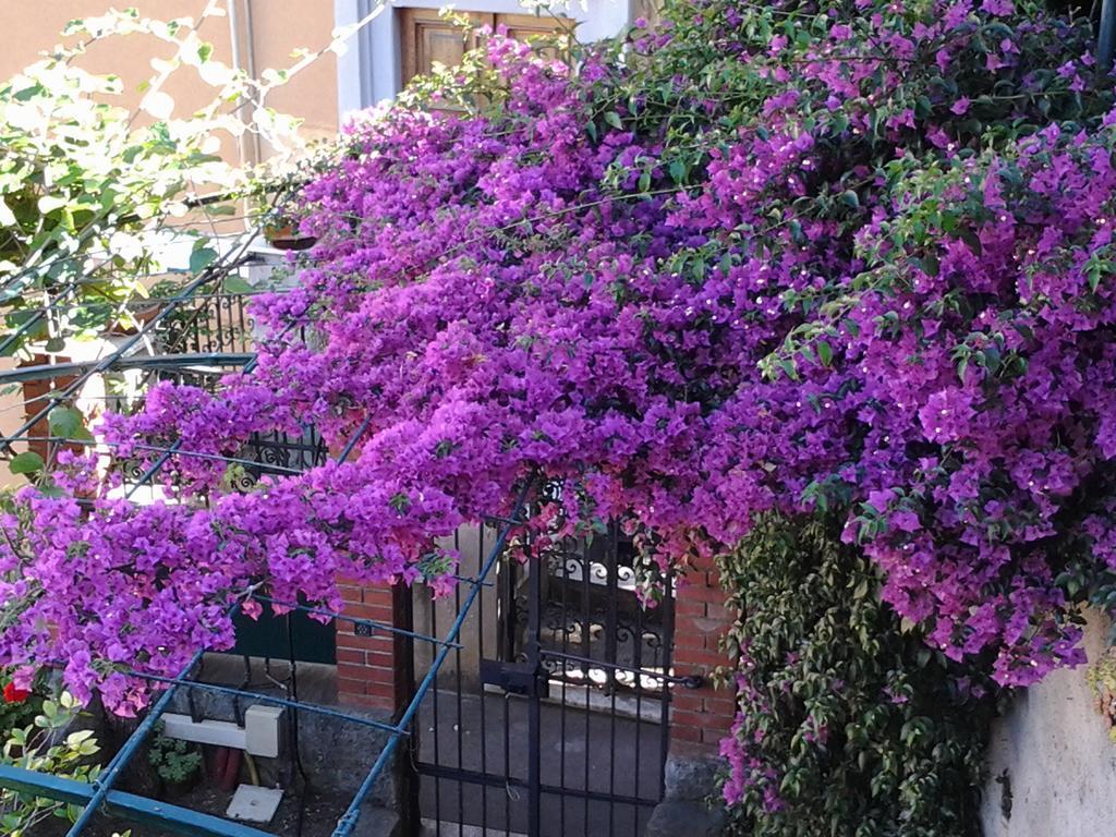 Casa Bouganville لا سبيتسْيا المظهر الخارجي الصورة